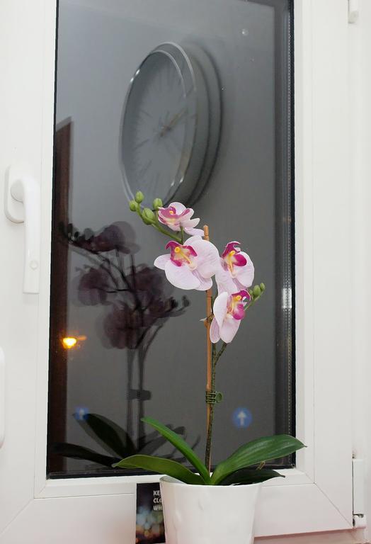 Fancy 1Bd Family Friendly In Historical Centre Bucareste Exterior foto